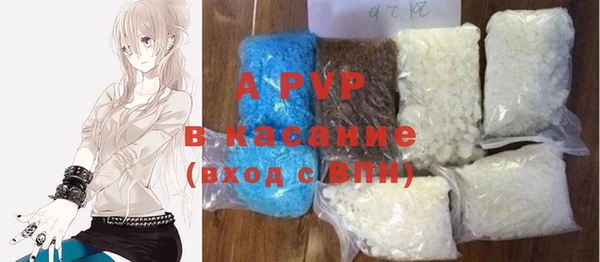 индика Козельск