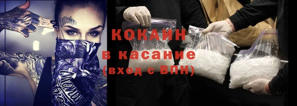 индика Козельск