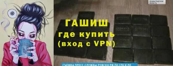 индика Козельск