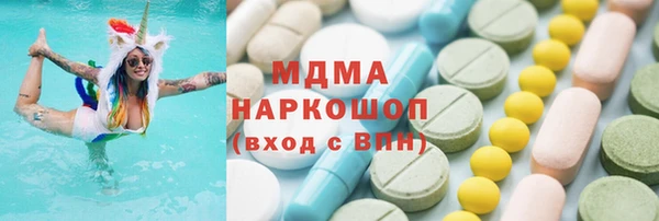 индика Козельск