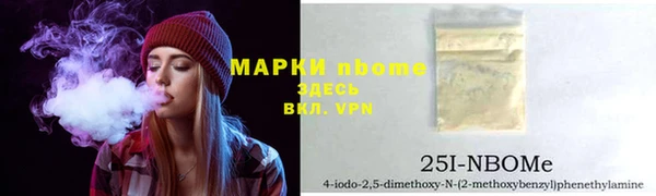индика Киренск