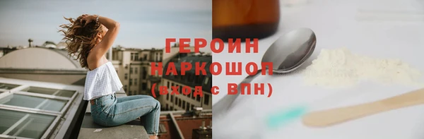 индика Козельск