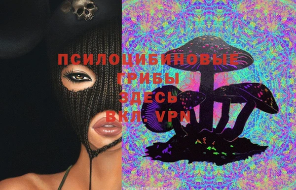бошки Козловка