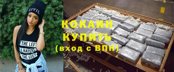 индика Козельск