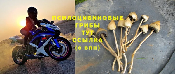 бошки Козловка