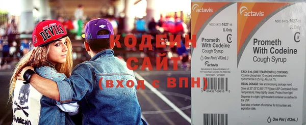 дмт Кодинск