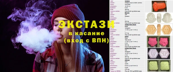 индика Козельск