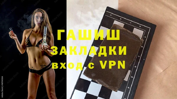 индика Козельск