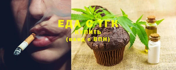 индика Козельск