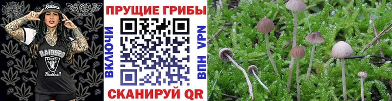 Псилоцибиновые грибы мухоморы хочу Певек